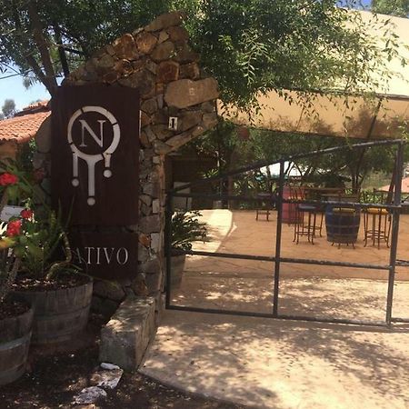 Guest House Nativo - Charming, Cozy & Affordable บาเย เด กัวลาลูเป ภายนอก รูปภาพ