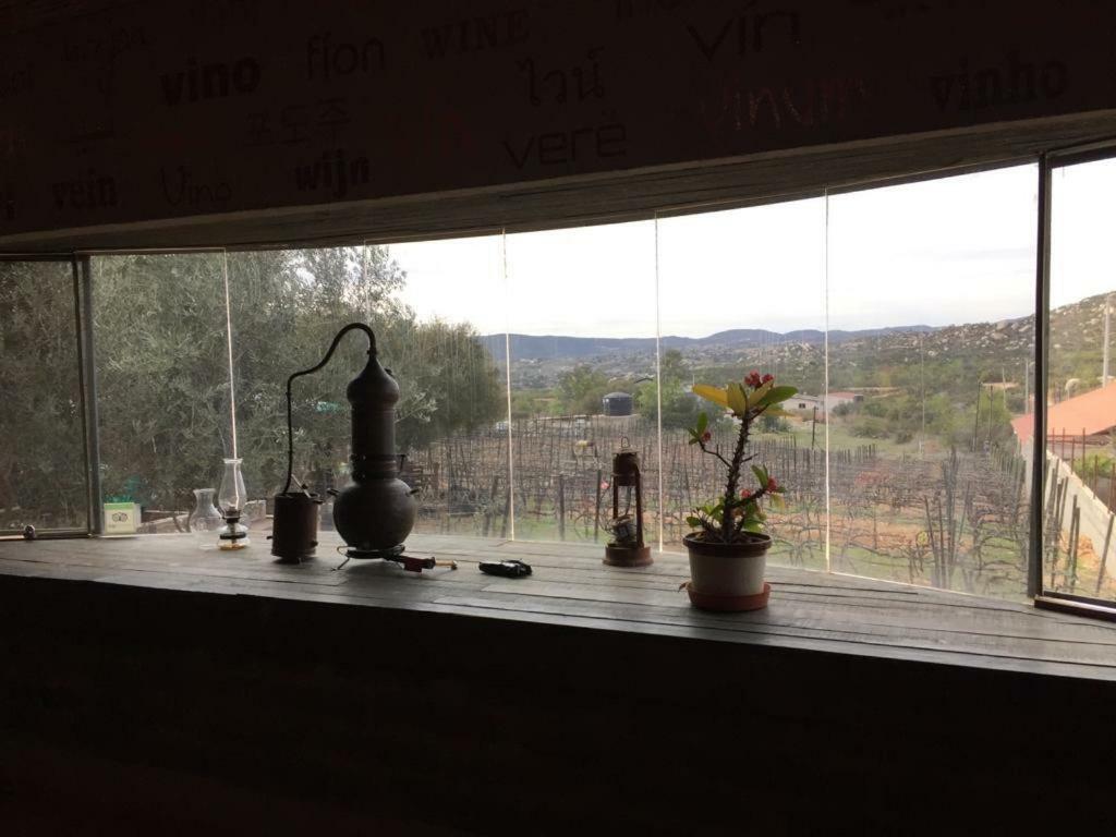 Guest House Nativo - Charming, Cozy & Affordable บาเย เด กัวลาลูเป ภายนอก รูปภาพ