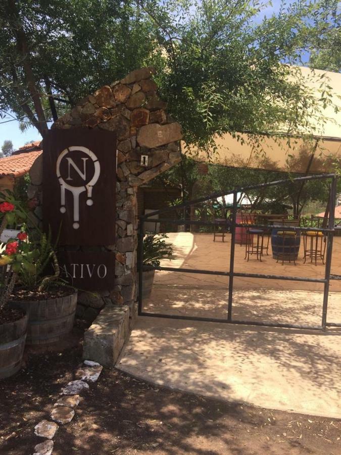Guest House Nativo - Charming, Cozy & Affordable บาเย เด กัวลาลูเป ภายนอก รูปภาพ